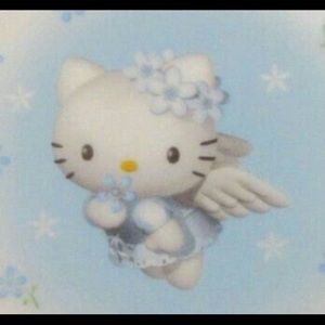 Meet your Posher, Nikki